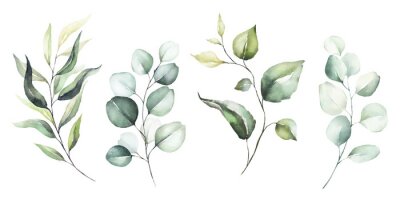 Plant takken met groene bladeren op een witte achtergrond