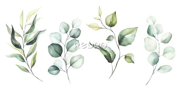 Poster Plant takken met groene bladeren op een witte achtergrond