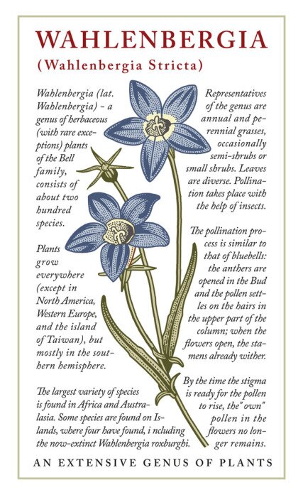 Poster Plantaardige vintage van valenberg