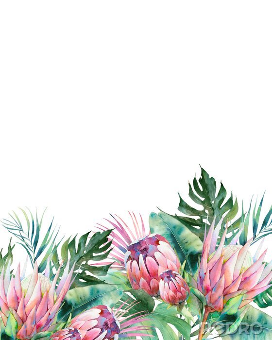 Poster Planten en bloemen geschilderd met waterverf
