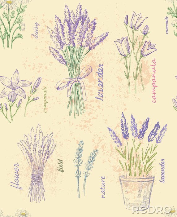 Poster Planten met paarse bloemen en gestileerde handtekeningen