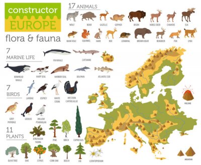 Poster Platte Europese flora en fauna kaart constructor elementen. Dieren, vogels en zee leven geïsoleerd op wit grote set. Bouw je eigen geografie infographics collectie
