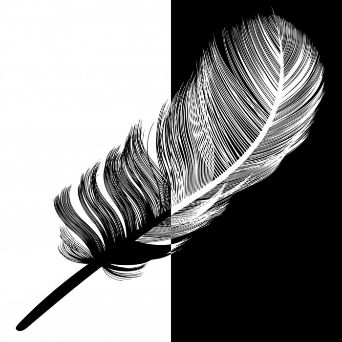 Poster Plume en noir et blanc en