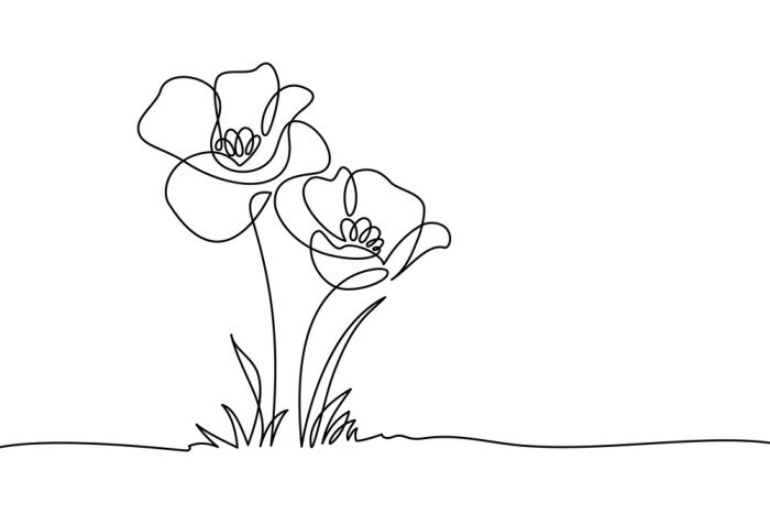 Poster Poppy flowers in continuous line art drawing style. Doodle floral border with two flowers blooming among grass. Minimalist black linear design isolated on white background. Vector illustration