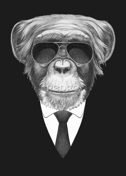 Poster Portrait of Monkey in suit and sunglasses. Bodyguard. Hand-drawn illustration. 