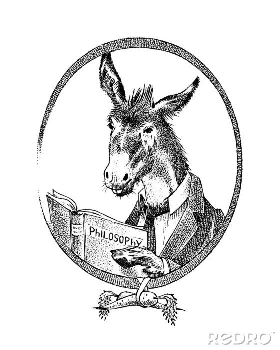 Poster Portret van een ezel - een filosoof