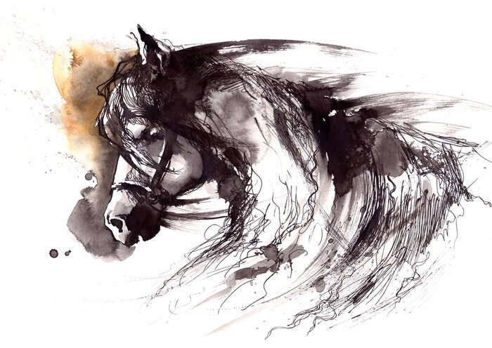 Poster Portret van een paard in de stijl van een schets.