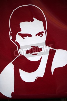 Poster Portret van Freddie Mercury