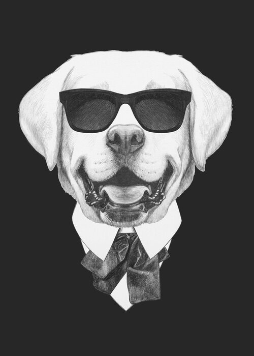 Poster Portret van Labrador in kostuum. Hand getrokken illustratie.