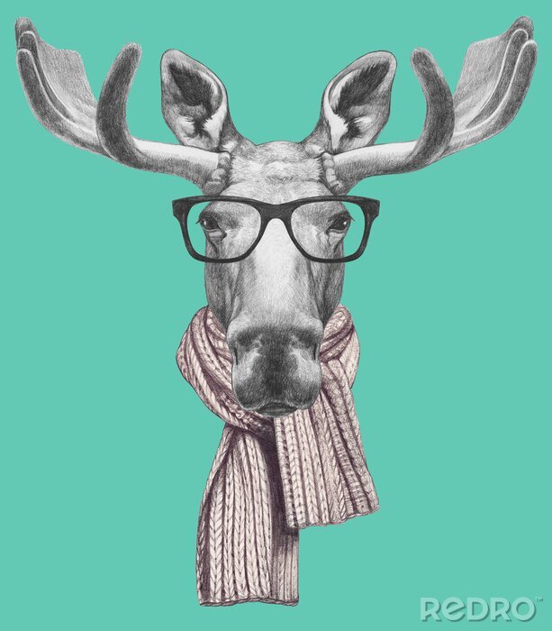 Poster Portret van Moose met glazen en sjaal. Hand getrokken illustratie.
