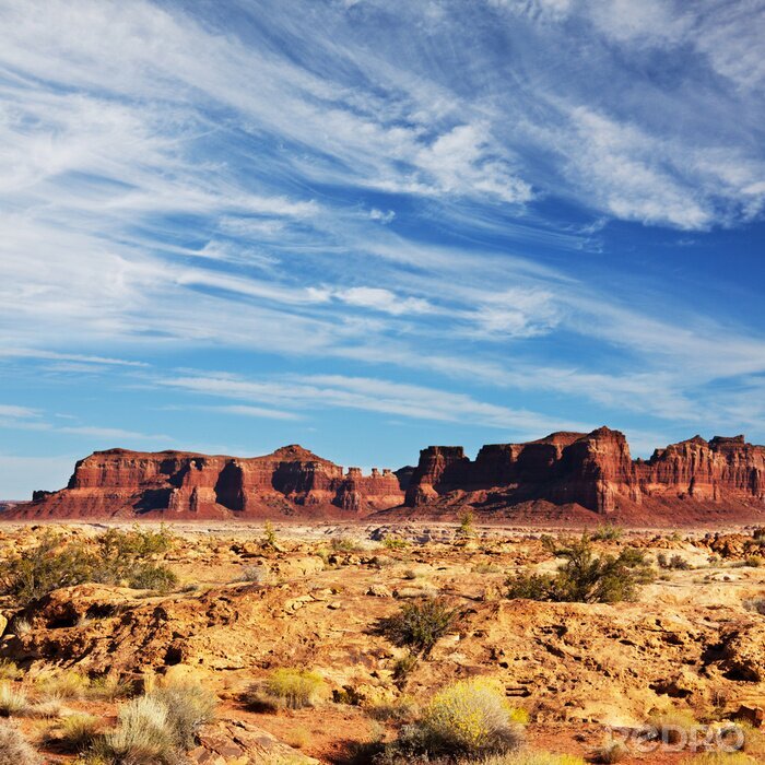 Poster Prairie landschap