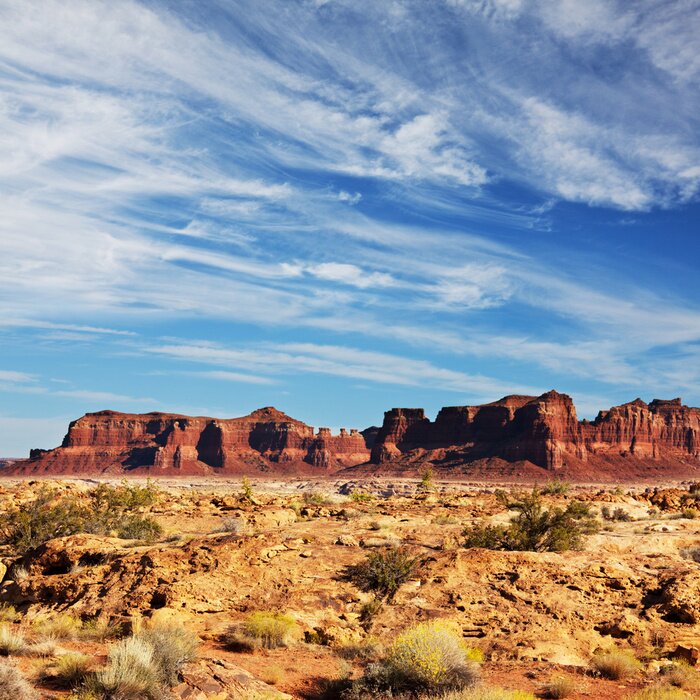 Poster Prairie landschap