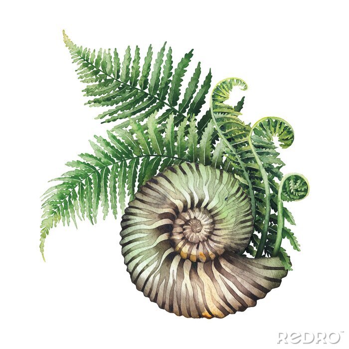 Poster Prehistoric watercolor seashell and fern branches