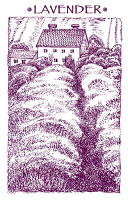 Provence landschap. Vector hand getrokken grafische illustratie.