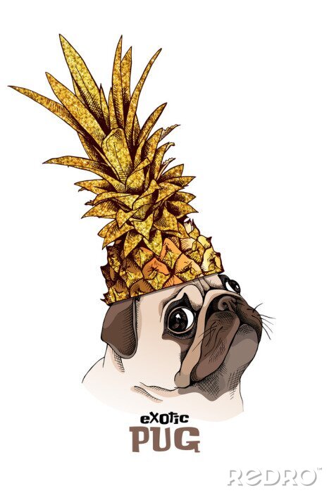 Poster Pug hond in een gouden ananas kroon. Vector illustratie.