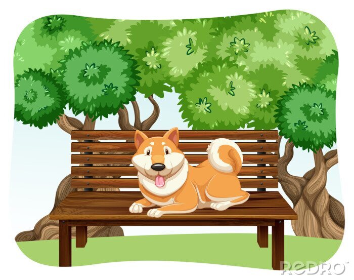 Poster Rasechte hond zittend op een bankje