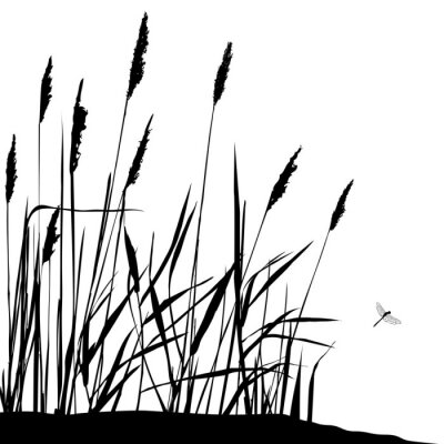 Reed en vliegende libelle - zwart en wit vector illustratie