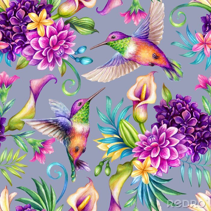 Poster Regenboogvogels en kleurrijke bloemen