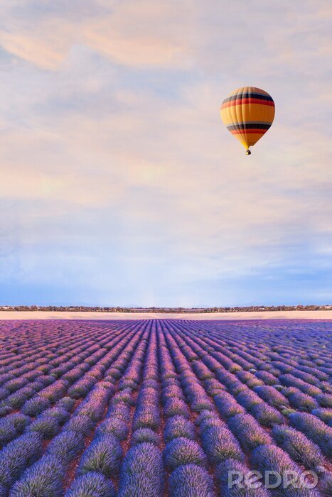 Poster reisbestemming, mooie droom inspirerende landschap met hete luchtballon vliegen boven lavendelvelden in de Provence, toerisme in Frankrijk