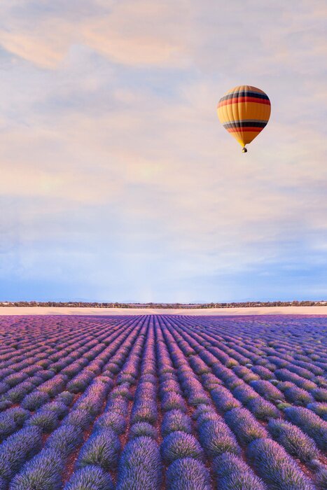 Poster reisbestemming, mooie droom inspirerende landschap met hete luchtballon vliegen boven lavendelvelden in de Provence, toerisme in Frankrijk