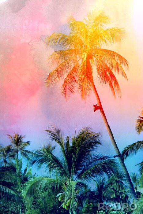 Poster Retro foto van een palmboom op het strand