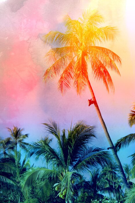 Poster Retro foto van een palmboom op het strand