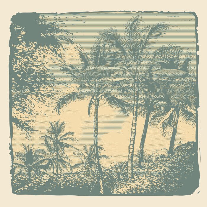 Poster Retro palmbomen