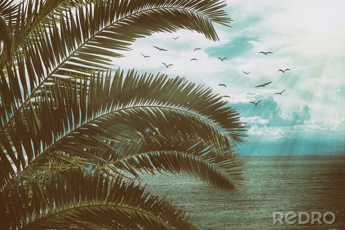 Poster Retro zeegezicht met palmbladeren, vogels en zonnestralen. Vintage textuur met stof en krassen.