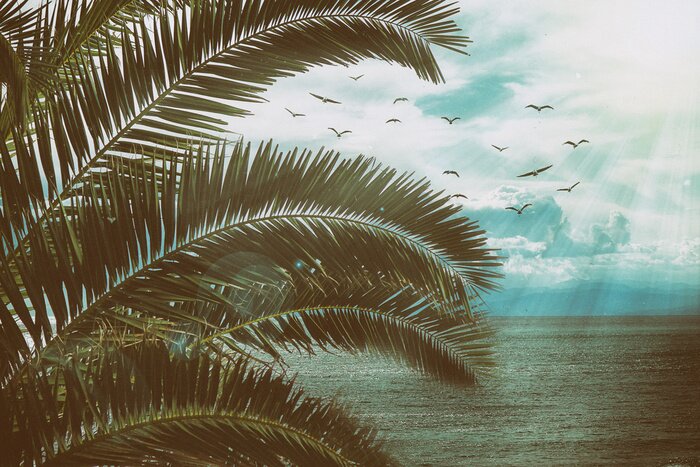 Poster Retro zeegezicht met palmbladeren, vogels en zonnestralen. Vintage textuur met stof en krassen.