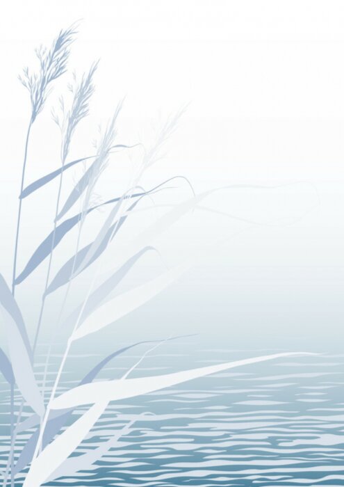 Poster Riet in het water bloemenscène