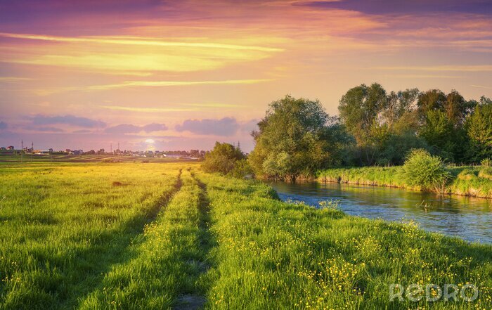 Poster Rivier velden en roze lucht