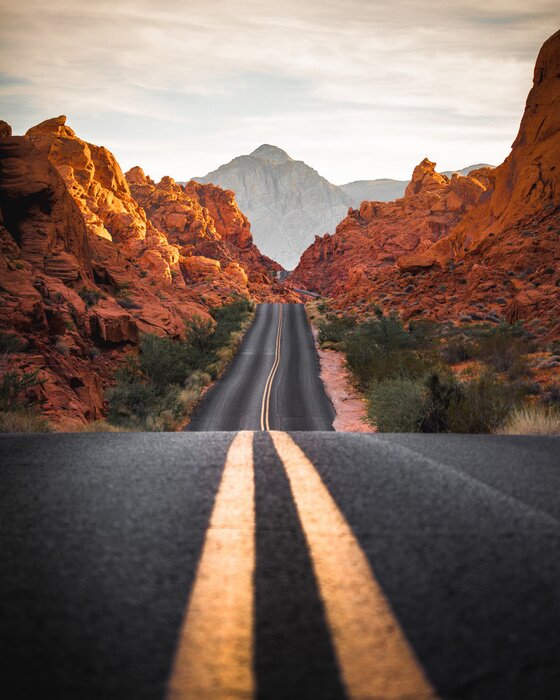 Poster Road to nowhere