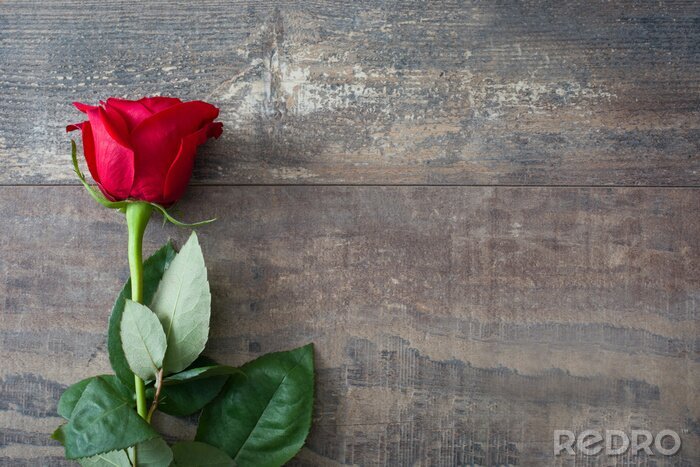 Poster Rode roos op oude planken