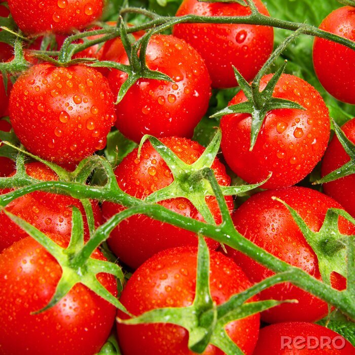 Poster rode tomaten