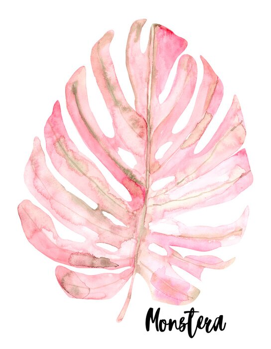 Poster Roze aquarel monstera blad