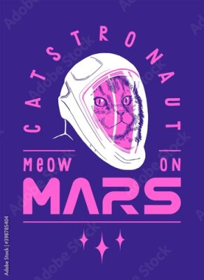 Poster Roze astronautenkat