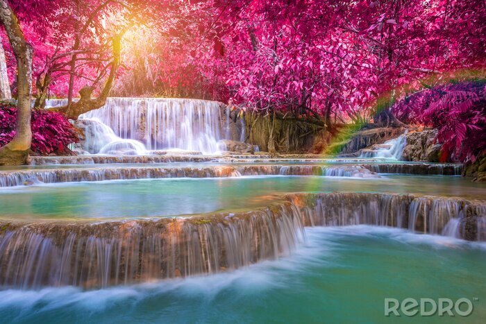 Poster Roze bomen boven de waterval