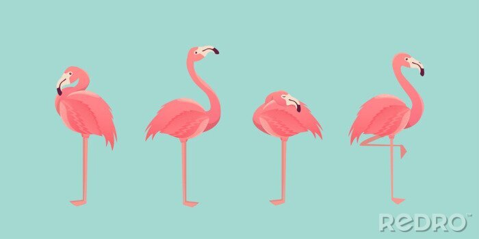 Poster Roze flamingo's op een blauwe achtergrond