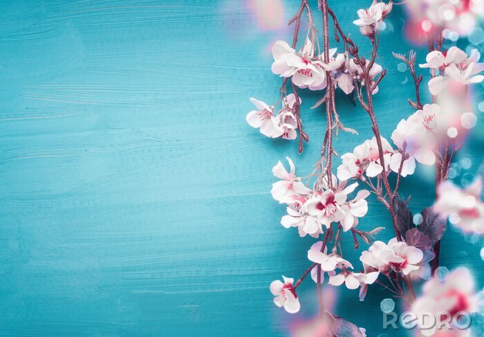 Poster Roze lentetakjes op een blauwe achtergrond