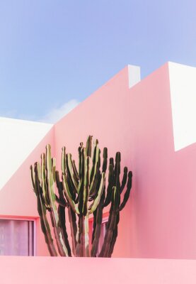 Poster Roze muur en cactussen