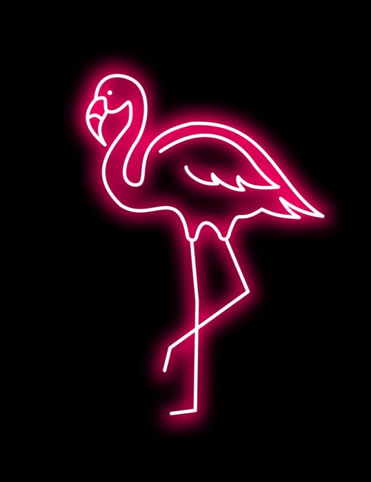 Poster Roze neonflamingo