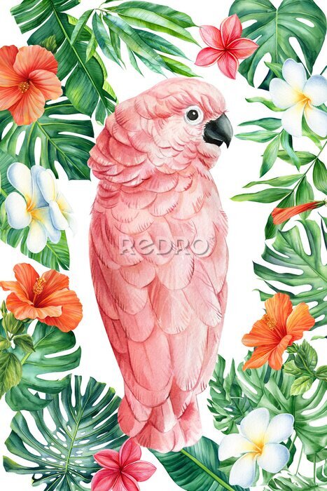 Poster Roze papegaai en hibiscus bloemen