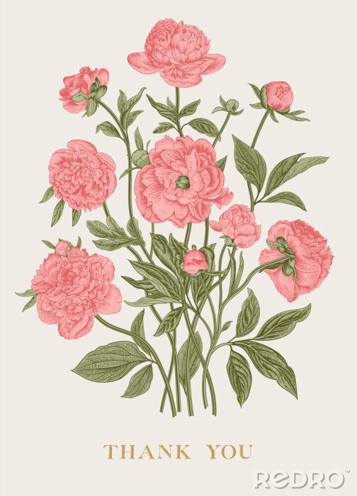 Poster Roze pioenrozen gestileerde tekening