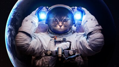 Poster Ruimtethema en kat als astronaut