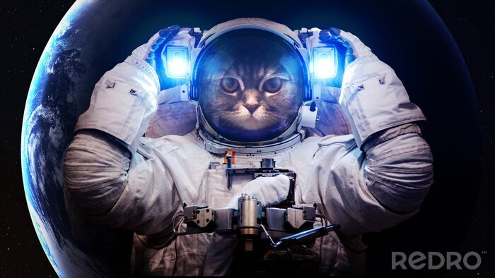 Poster Ruimtethema en kat als astronaut