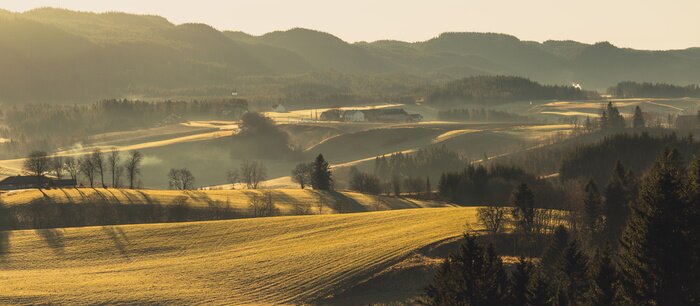 Poster Rural landscape with fog and sunrise light