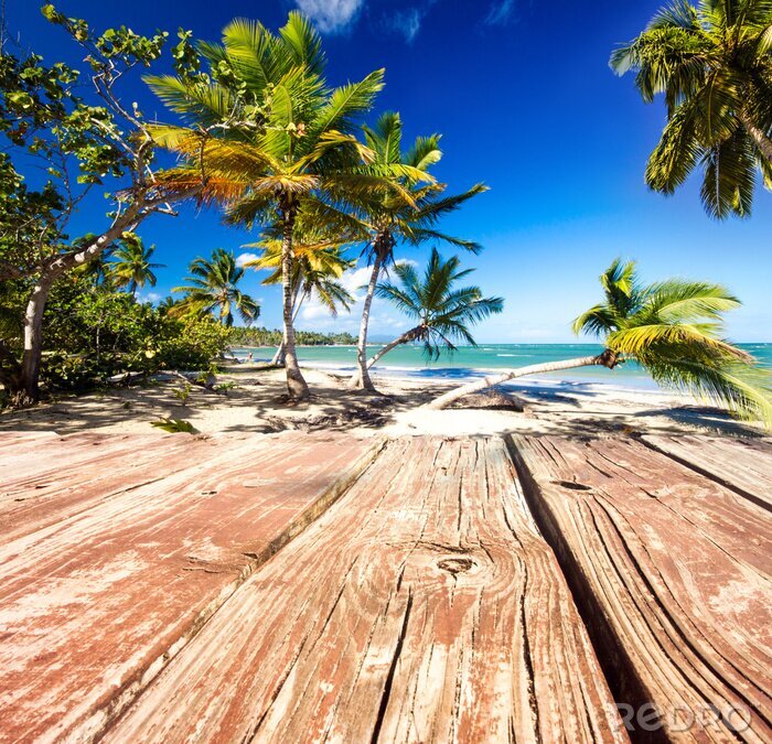 Poster Rustig zeelandschap met palmbomen