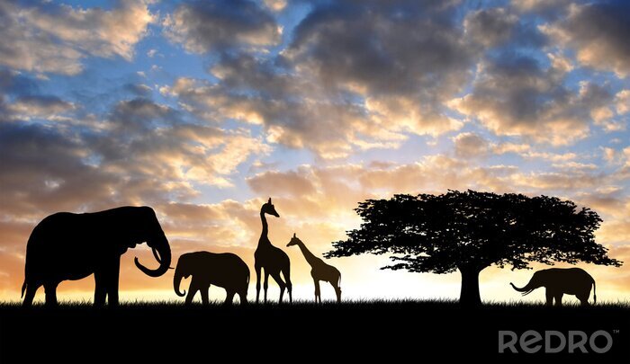 Poster Safari dieren silhouetten