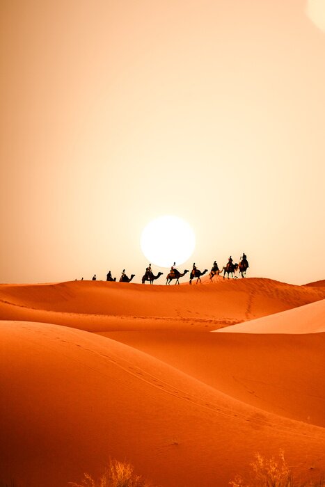 Poster Sahara desert