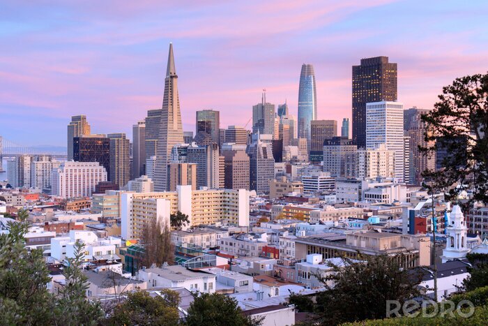 Poster San Francisco Skyline in roze en blauwe luchten. Ina Coolbrith Park, San Francisco, Californië, VS.